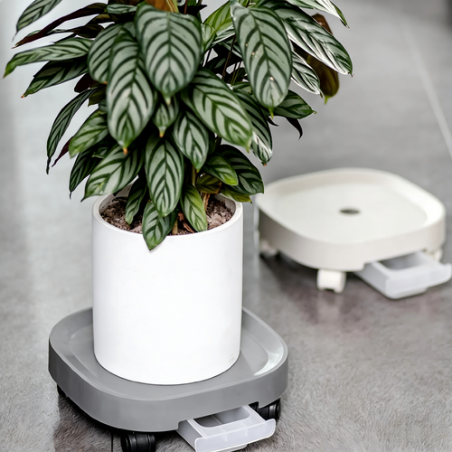 Flower Pot Base with Roller Wheels